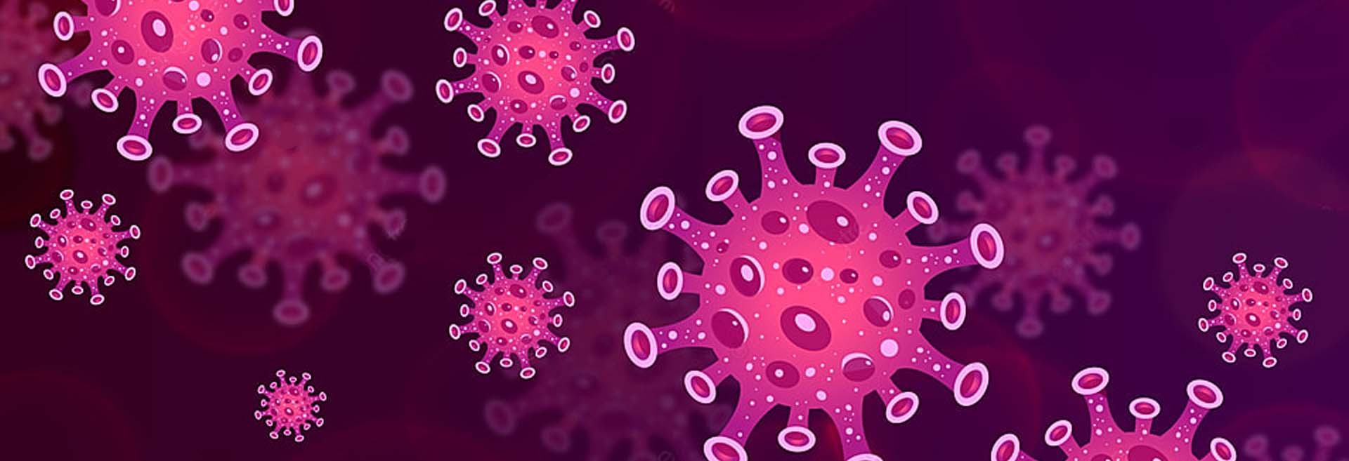 Novel Coronavirus (2019-nCoV)