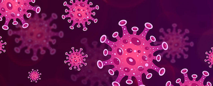 Novel Coronavirus (2019-nCoV)