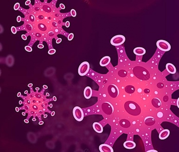 Novel Coronavirus (2019-nCoV)